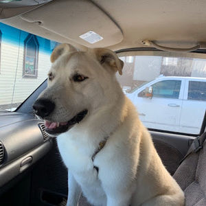 Meet your Posher, Vicki lynn